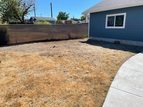 Orca Hydroseeding