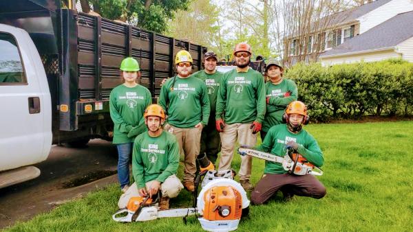 King Tree Services LLC