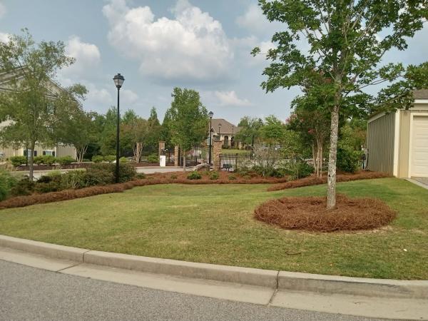 Augusta Landscaping