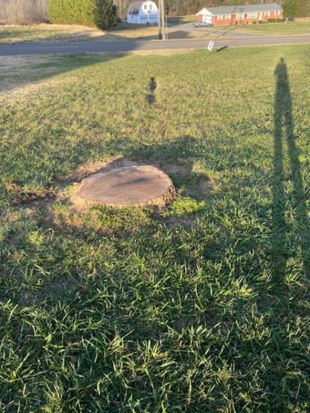 Nick's Tree Service