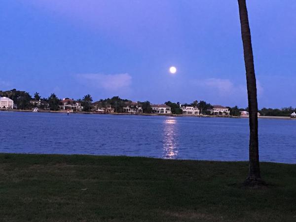 Mizner Residential Group