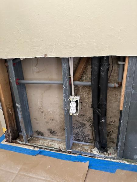 Gulf Coast Mold Assessing & Remediation