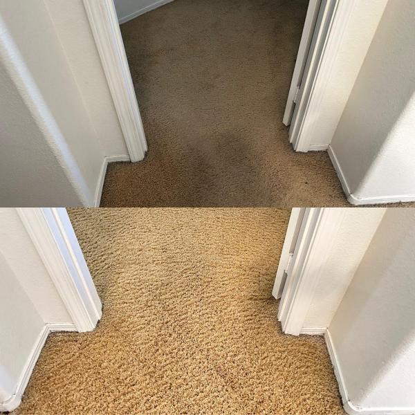 AAA Carpet Cleaning