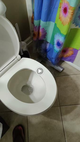 L & N Carpet Cleaning