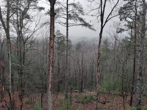 Jays Trees and Gutters LLC