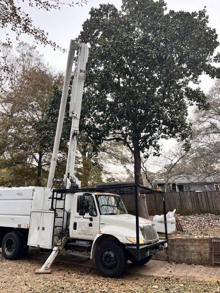 For All Seasons Tree Services