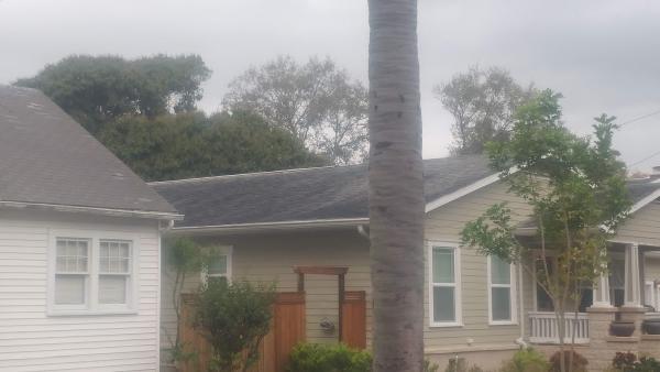 Suncoast Hydro Cleaning