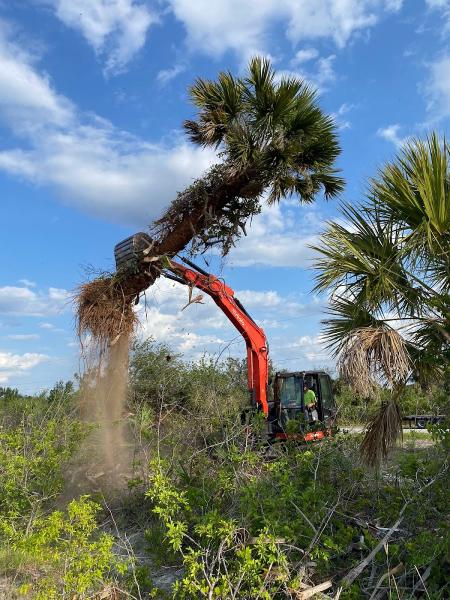 Timber Tree Llc