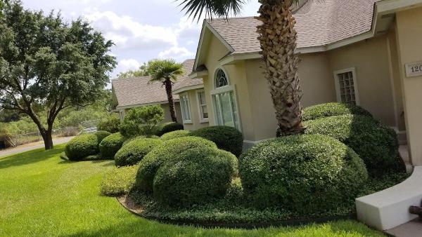 Goen Tree Care LLC