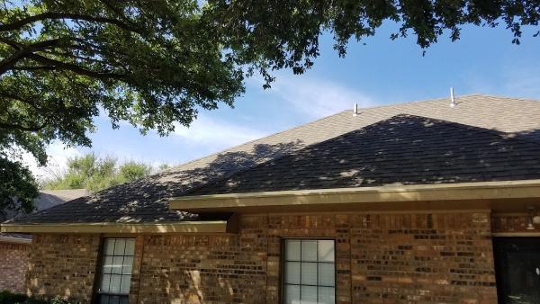Goen Tree Care LLC