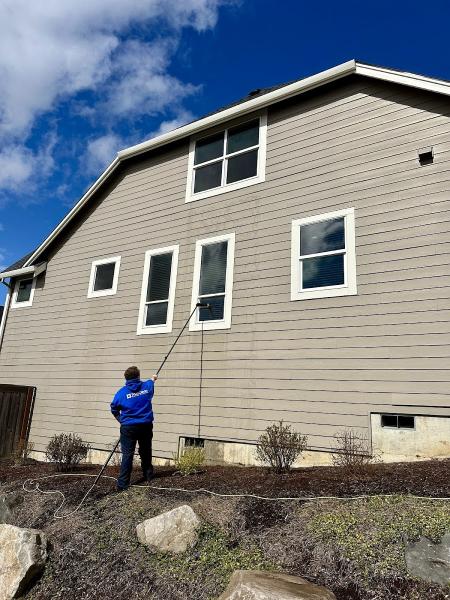 True Clean Window Cleaning
