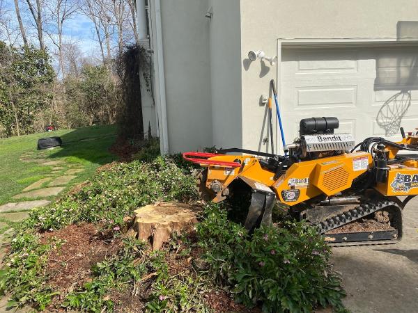 Jim's Stump Grinding
