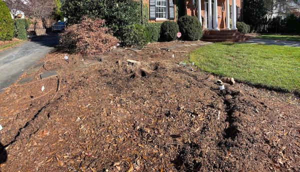 Jim's Stump Grinding