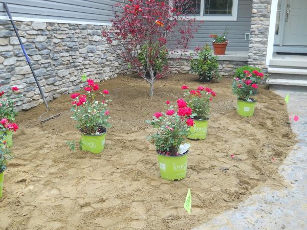 AB Lawn & Landscaping LLC
