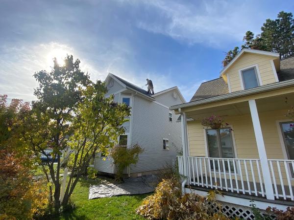 Keeping It Clean Moss Removal and House Washing