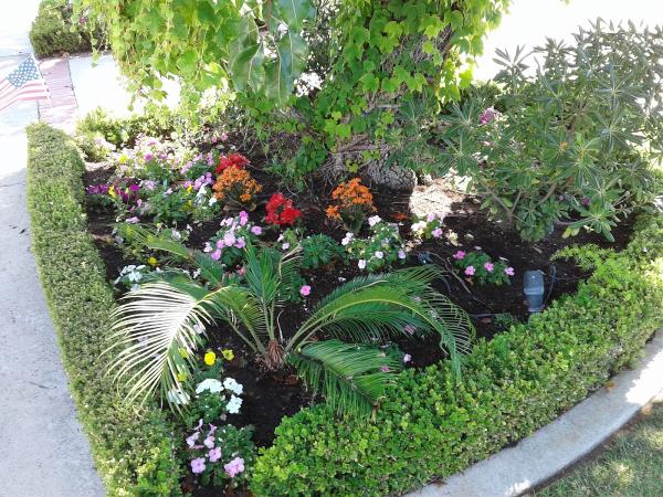 Brothers Landscape Services
