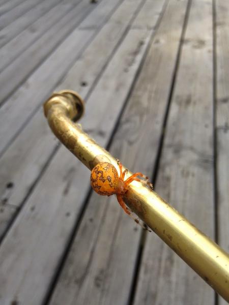 Quik Kill Pest Eliminators