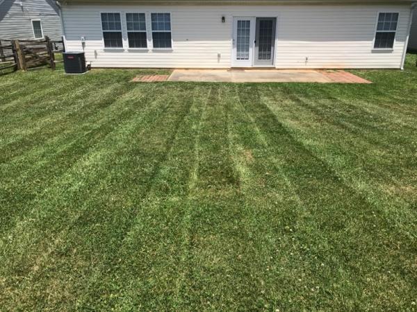 F&S Lawn Service