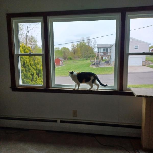 Advanced Window Systems LLC