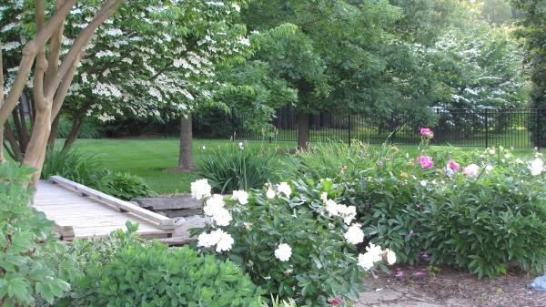 Mead Tree & Turf Care Inc