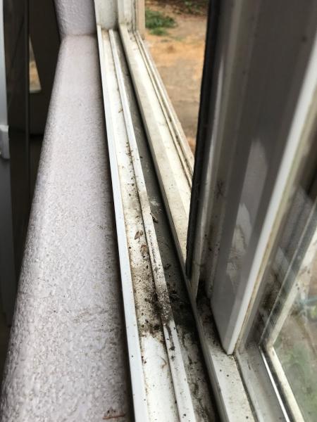 Gutterpatrol & Windowshine