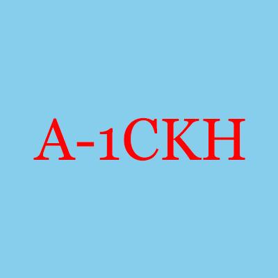 A-1 Company