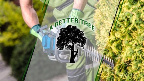 A Better Tree