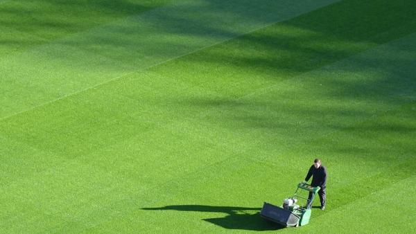Salt City Lawn Care