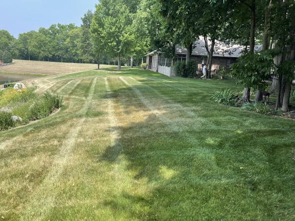 Lasters Lawncare and Landscape LLC