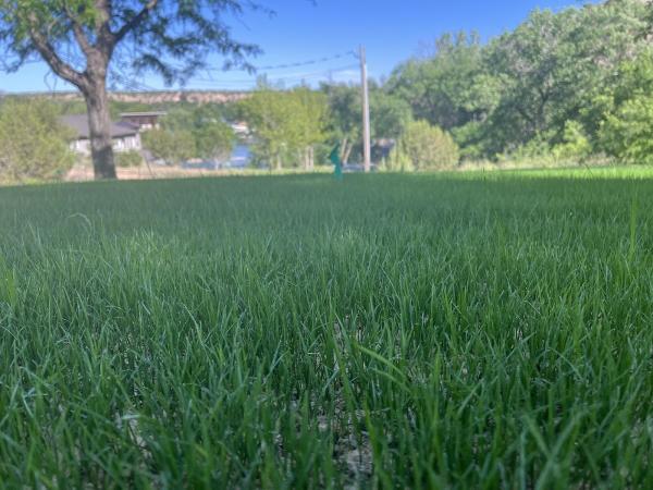 Kohler Lawn & Landscape
