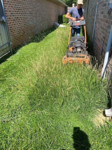 Kohler Lawn & Landscape