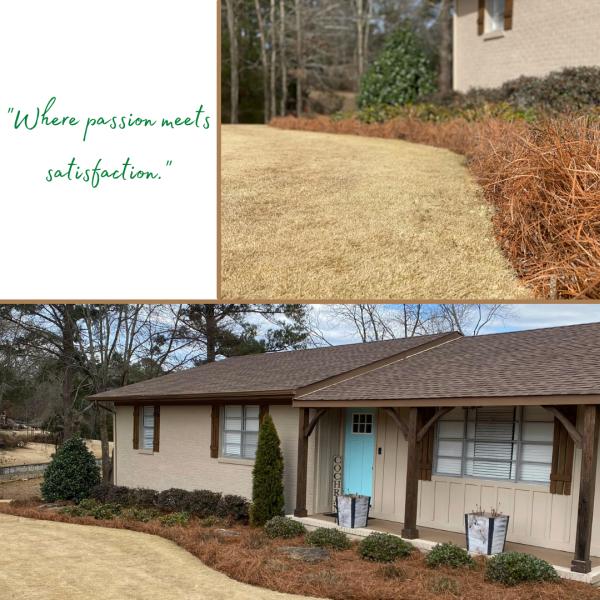 Beach Lawns and More