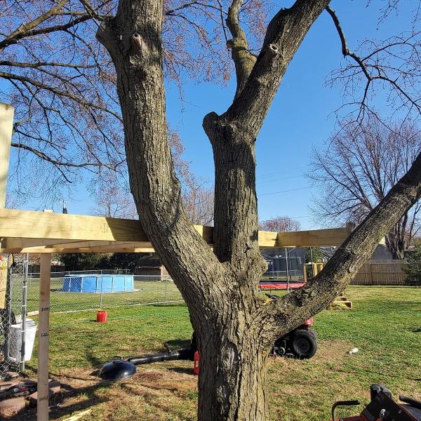 Arbor Tech