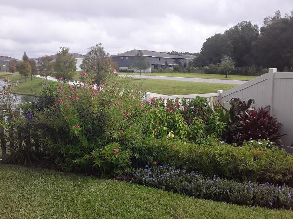 Wesley Chapel Lawn Care Service LLC