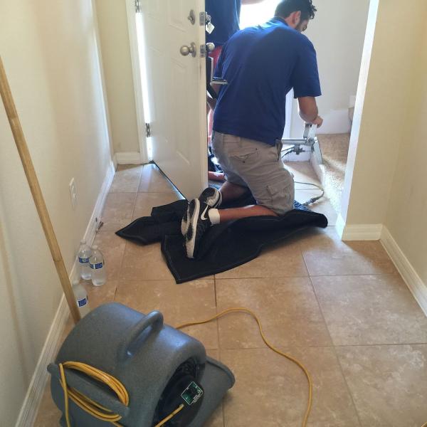 Veritas Carpet Cleaning