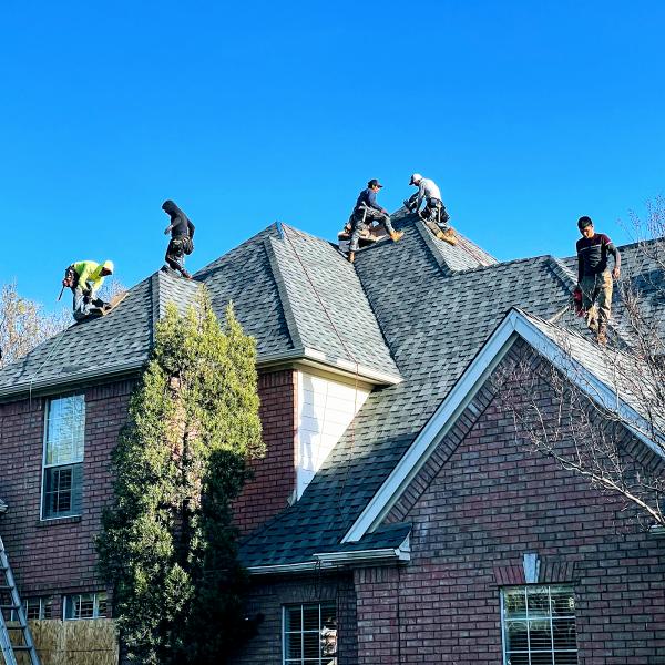 The Roofing Pro