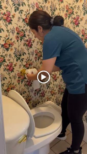 Maid to the Rescue
