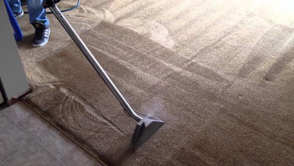 Steamrite Carpet