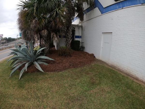 Cuttin Up Lawncare & Development LLC