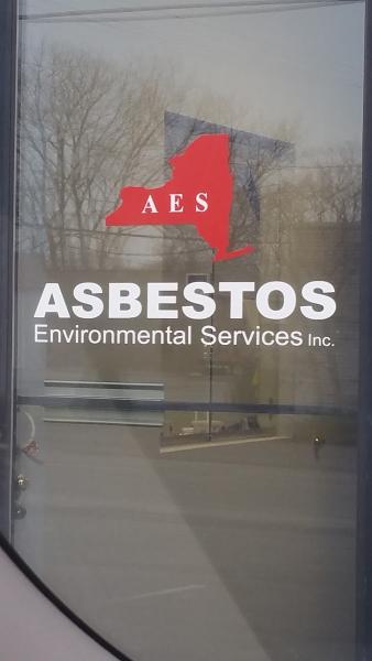 Asbestos Environmental Services Inc