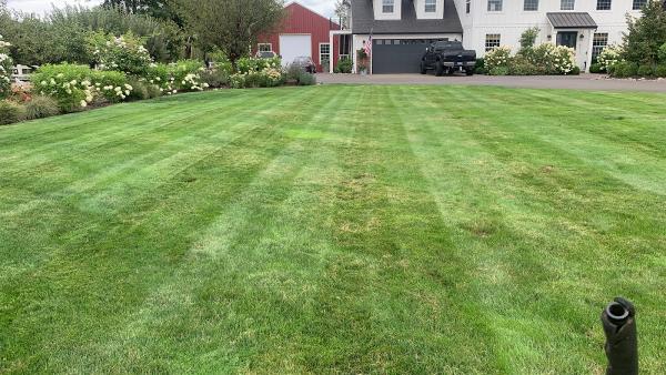 DL Bravo Landscape Maintenance