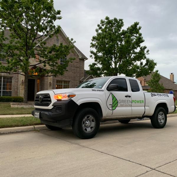 Greenpower Pest Control