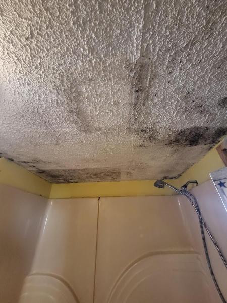Enviro-Decon Services