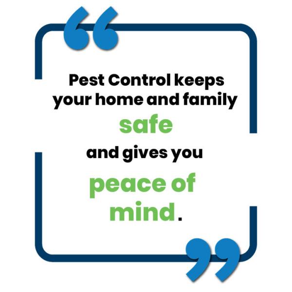 Classic Pest Control & Insulation