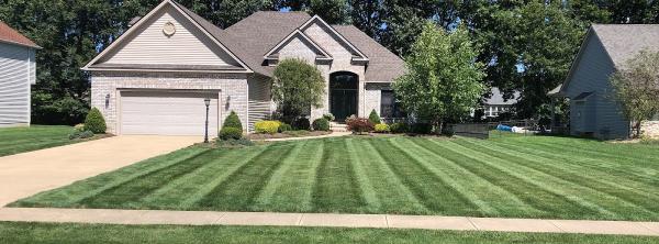 Yourscape Fertilization and Lawn Care