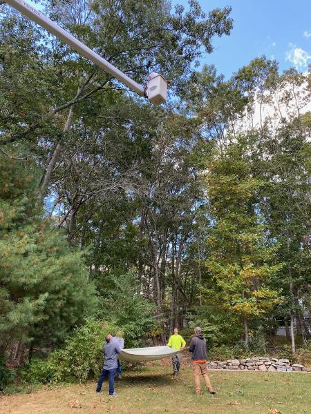 Jsp Tree Service