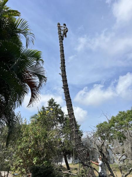 Yoder's Tree and Landscaping LLC