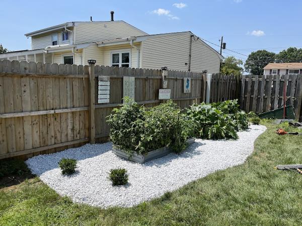 Dechert Landscape LLC