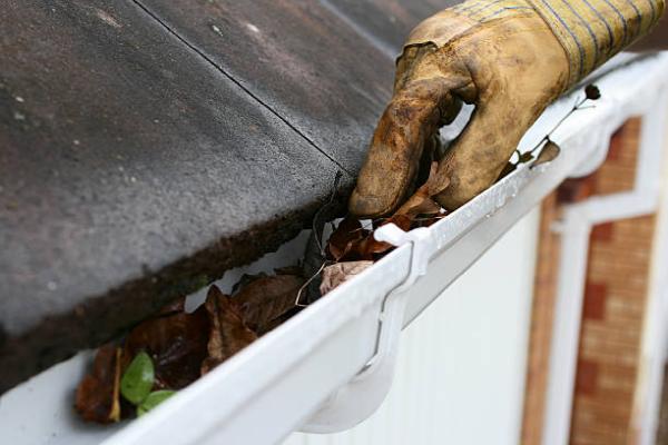 Socal Property Services