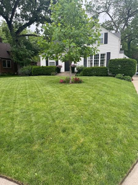 Quality Cut Lawn & Landscape